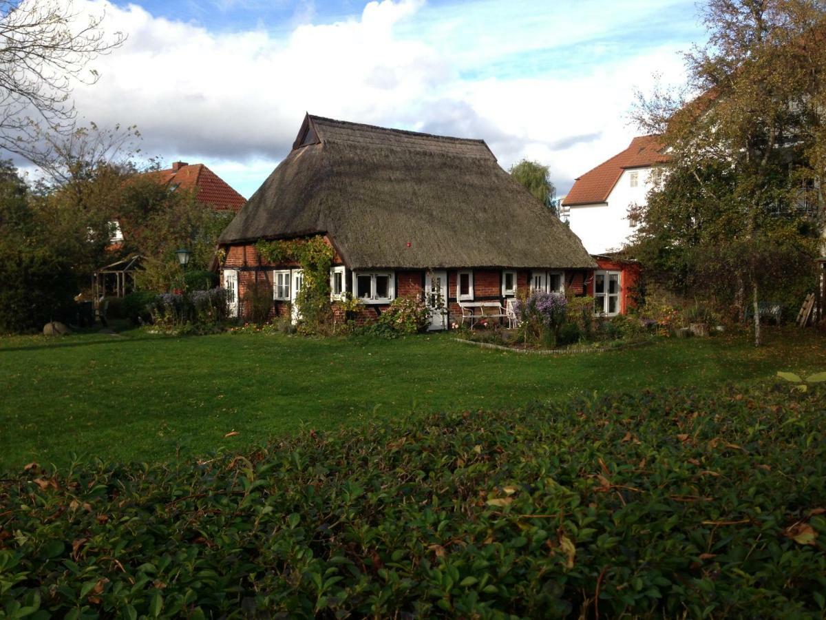 Fewo Am Alten Hafen - Zingst Ostseebad Exterior photo